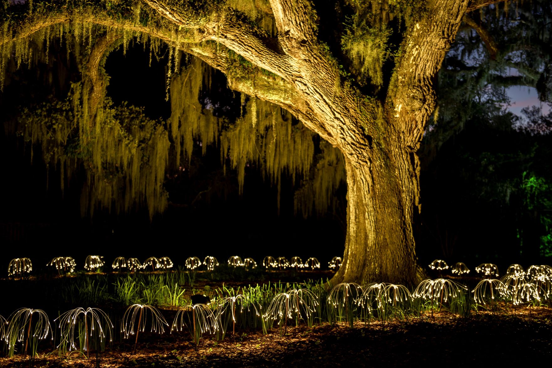 Artist Bruce Munro's 'Fireflies'